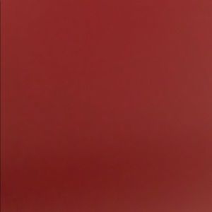 Meet your Posher, Gabriela